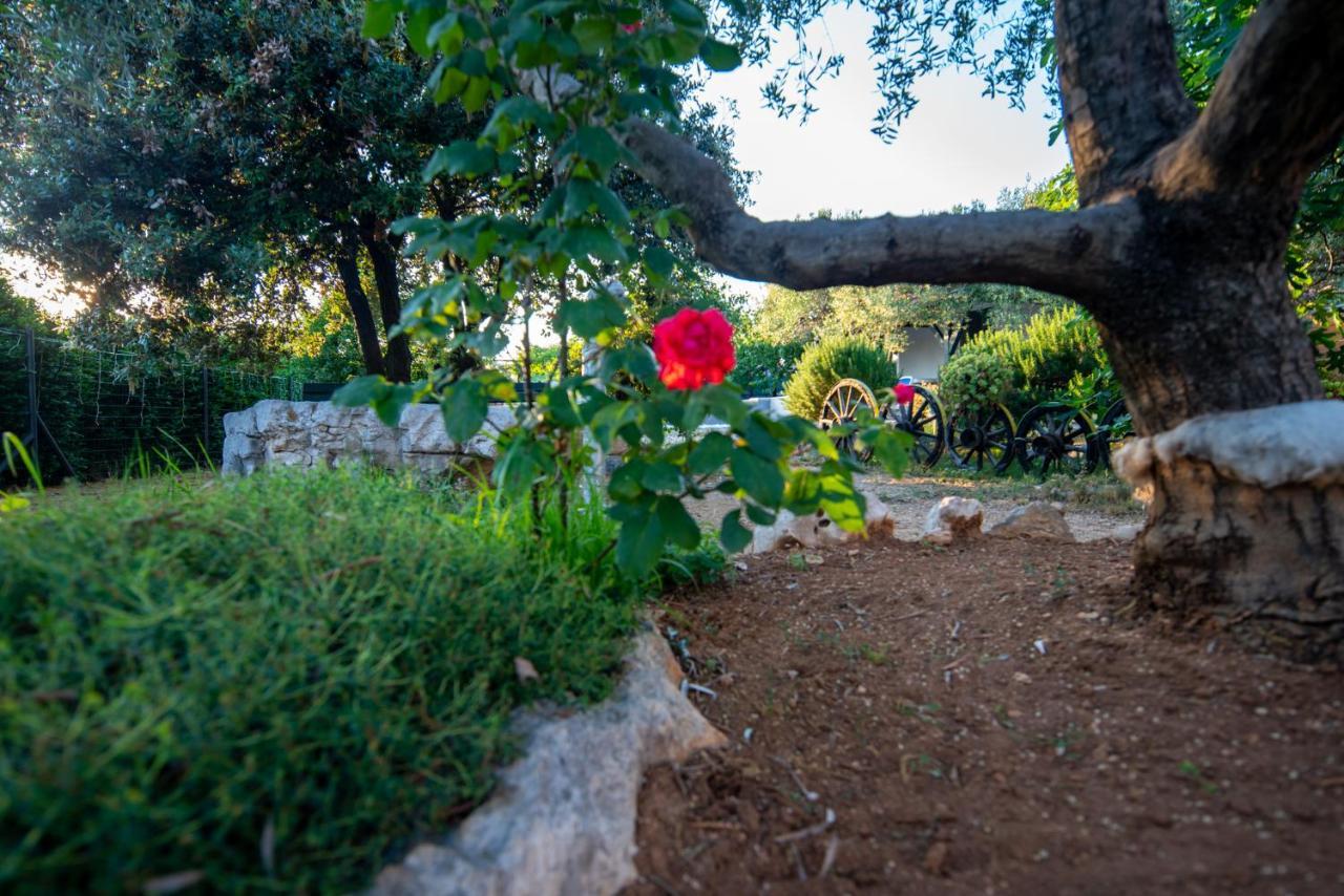 Holiday House Cvita Biograd Na Moru Exterior photo
