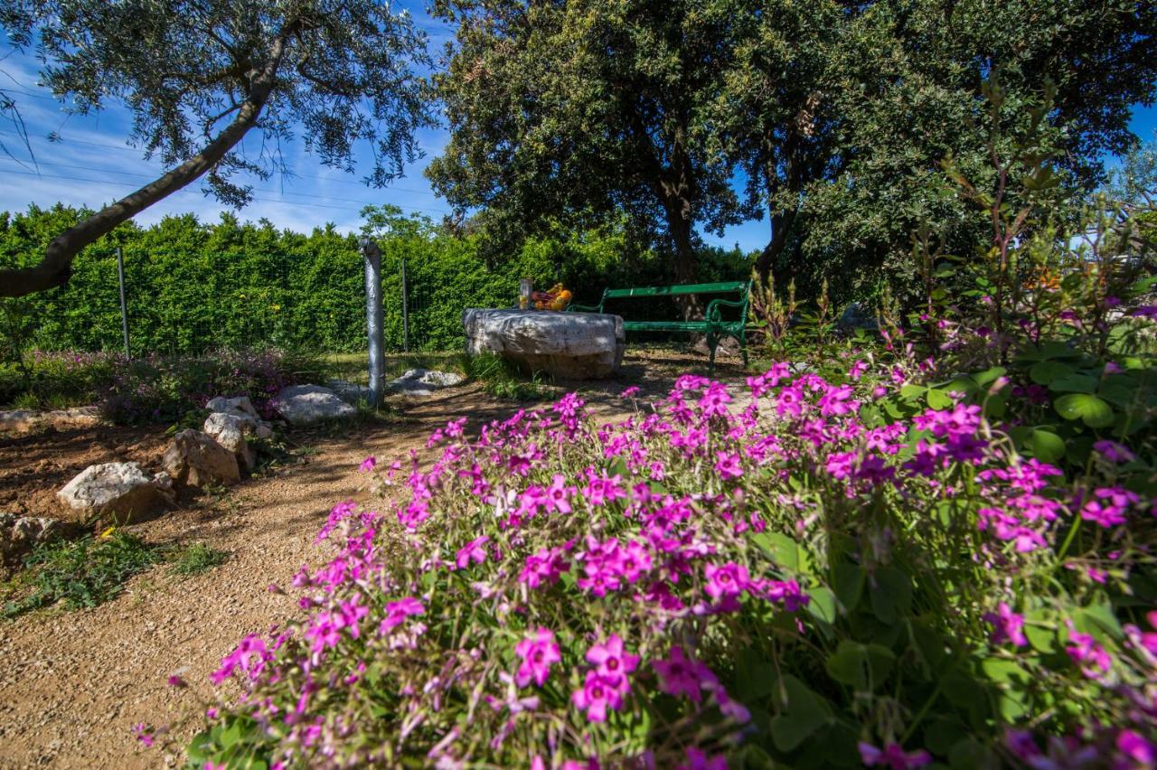 Holiday House Cvita Biograd Na Moru Exterior photo